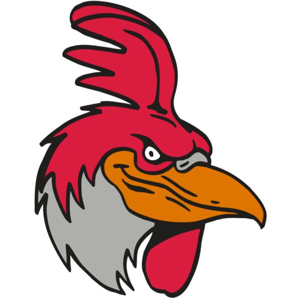 AR5 Gamecock 05 RQC Thumbnail