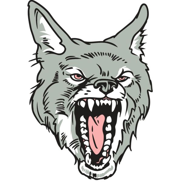 AR32 COYOTE 11 RQC Thumbnail