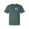 Comfort Colors Adult Heavyweight Tee Thumbnail