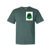 Comfort Colors Adult Heavyweight Tee Thumbnail