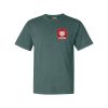 Comfort Colors Adult Heavyweight Tee Thumbnail