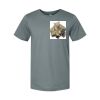 Bella Canvas Unisex Jersey T-Shirt Thumbnail